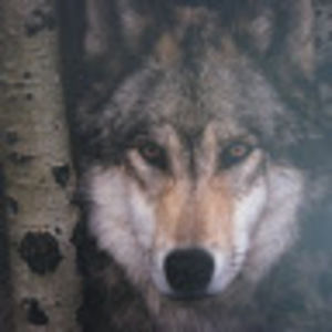 Meet your Posher, Ken